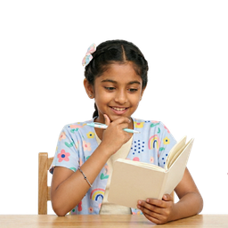 Essay Writing Mastery